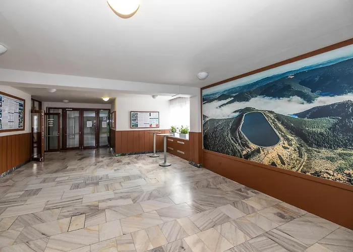 ホテル Dlouhe Strane 3*